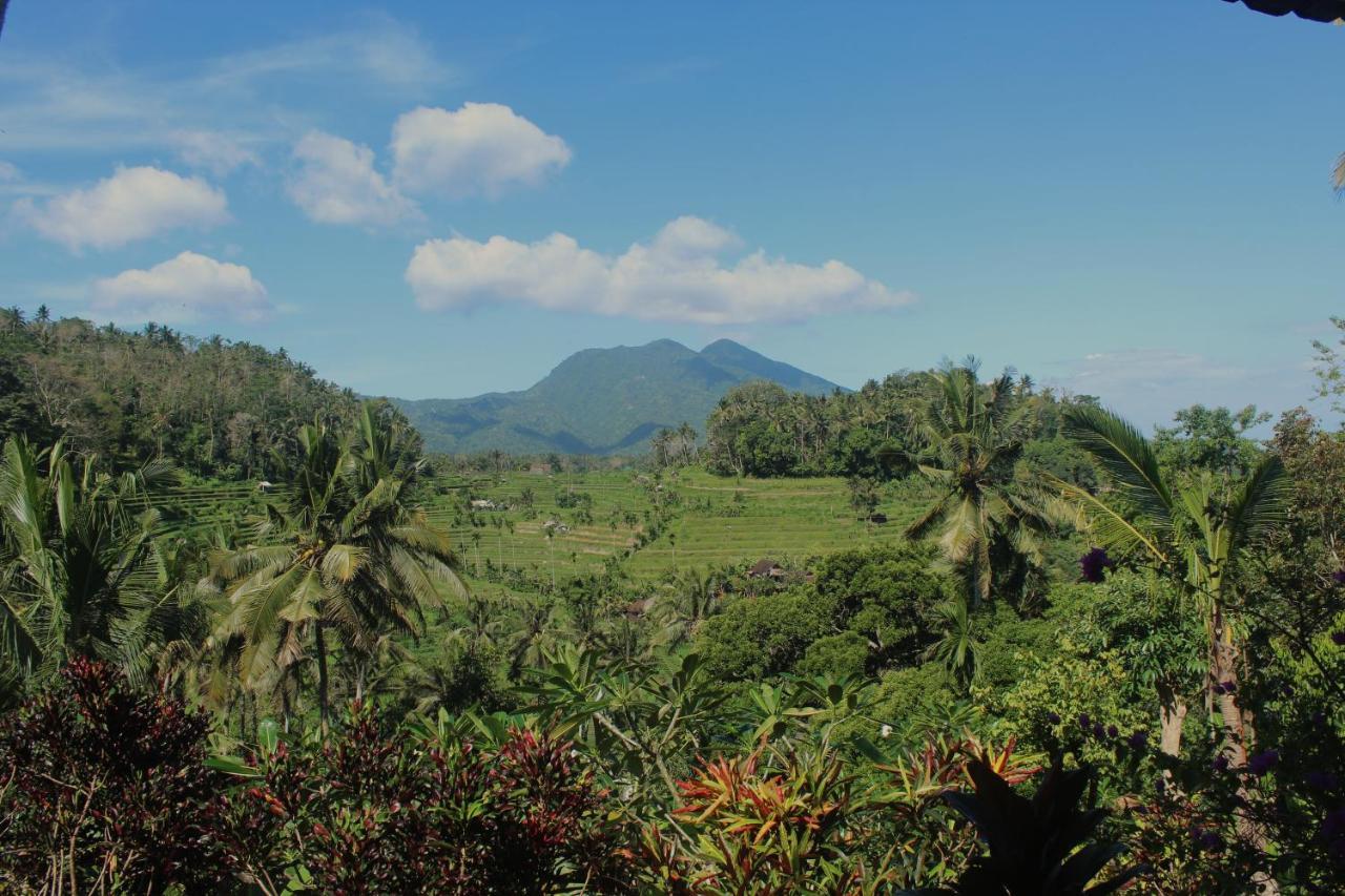 Pondok Lembah Dukuh Homestay Karangasem Extérieur photo